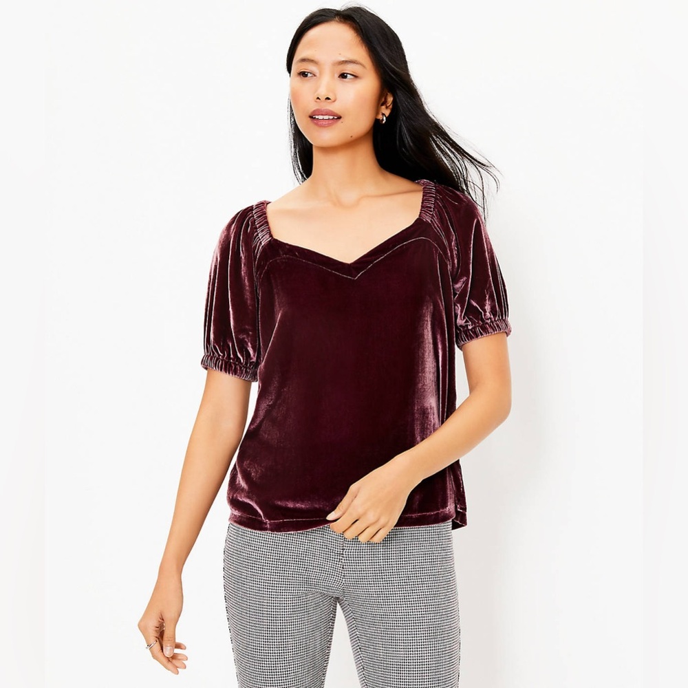 LOFT Petite Velvet Puff Sleeve Top
